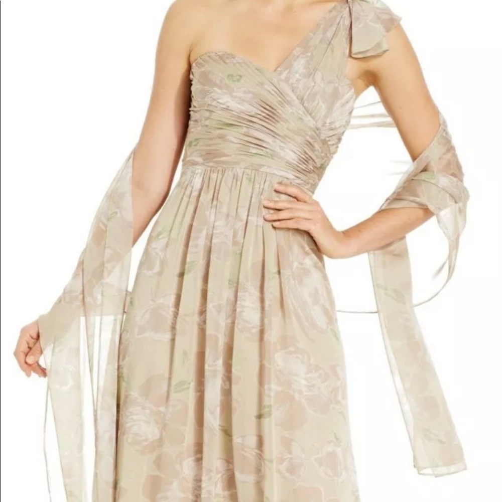Adrianna Papell One Shoulder Chiffon Gown